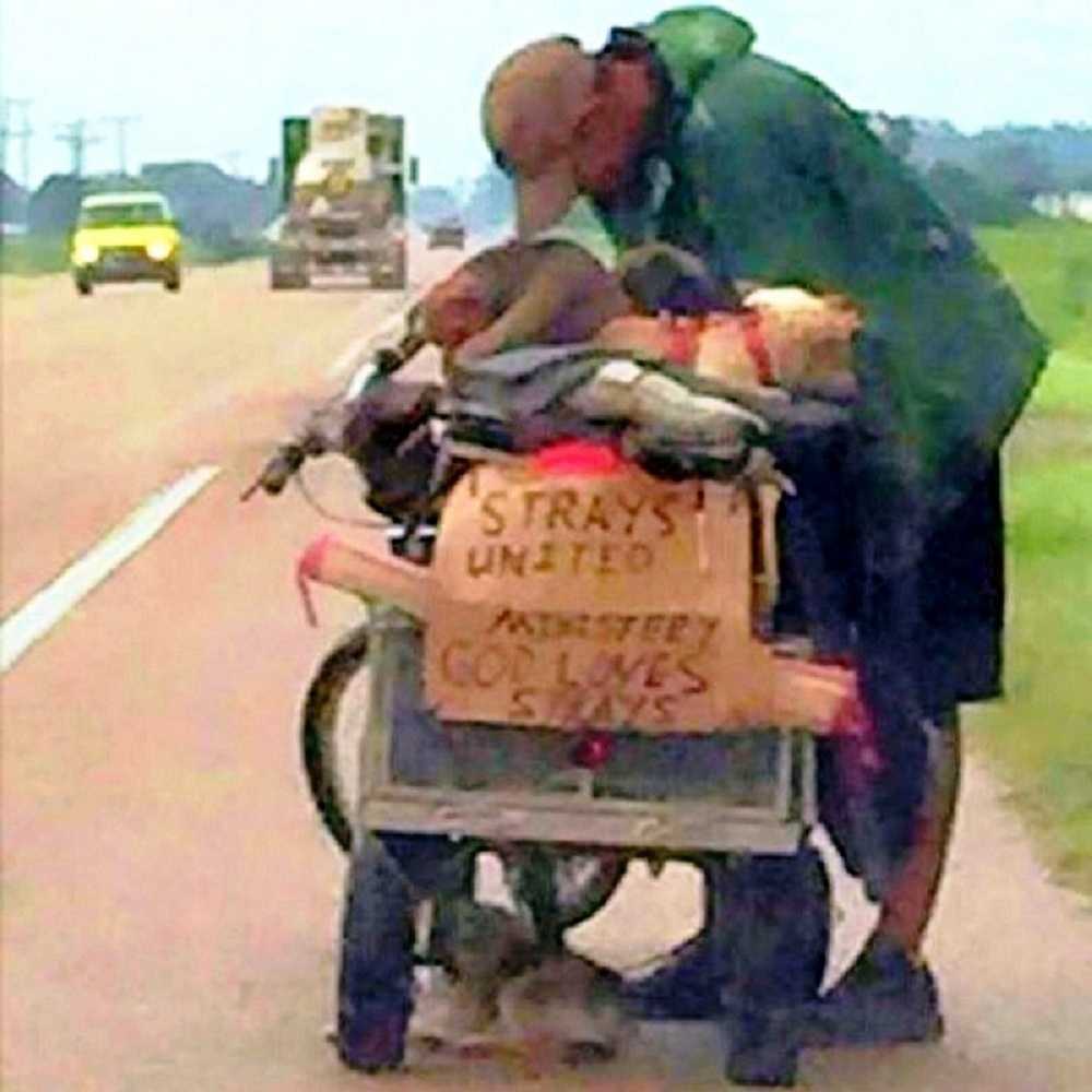 Una donna vede un senzatetto che spinge un carrello pieno di cani randagi e si ferma per chiedere la sua storia