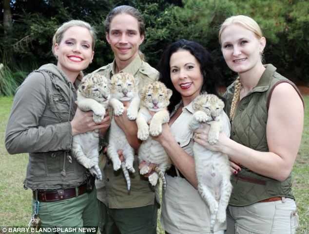 Il leone bianco e la tigre bianca hanno avuto dei figli insieme e sono le cose più adorabili sulla terra