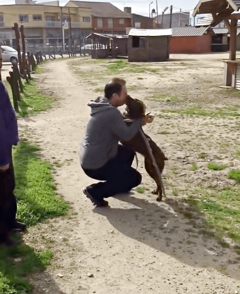 Cane depresso è stato solo al rifugio per 2 anni e ha riconosciuto un odore familiare